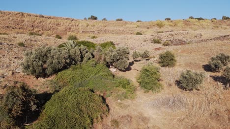Dronie-quickshot-revealing-a-dry-hills-landscape-in-Israel,-Golan-Heights