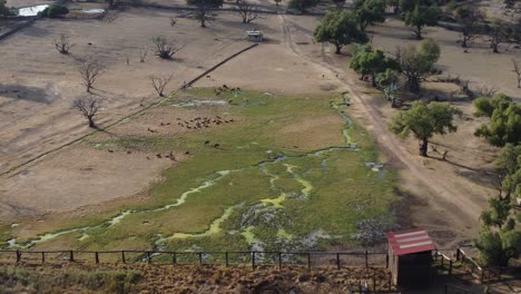 A-huge-safari-in-Teotihuacan,-Mexico-full-of-wild-animals-like-giraffe,-lions,-jaguar,-tigers-and-more-filmed-by-drone-from-above
