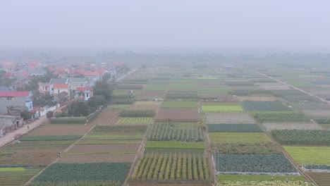 Drohnenaufnahme-Vieler-Felder-In-Der-Vietnam-Antenne
