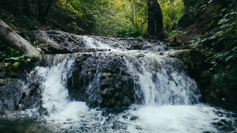 Aufnahme-Von-Natürlichem-Quellwasser,-Das-über-Felsen-Im-Tiefen-Wald-Fließt