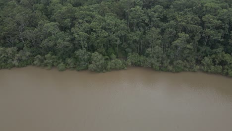 Mangrove-Forests-At-Tallebudgera-Creek-Waterway-In-Burleigh-Heads,-Queensland,-Australia