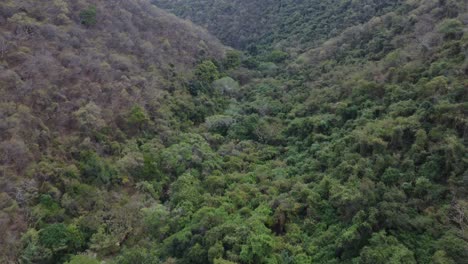 Hermoso-Video-De-Drones-En-El-Parque-Nacional-En-Taxco,-México,-Mientras-Visita-La-Cascada