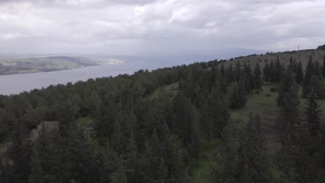Israel,-Golanhöhen-Landschaft-Aus-Der-Luft-Mit-Drohne,-Seen-Und-Kiefernwald