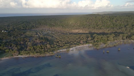 Tropical-Woodland-Of-Amity-Point-And-Delicate-Stream-Of-Flying-Fox-Creek-In-Queensland,-North-Stradbroke-Island,-Australia