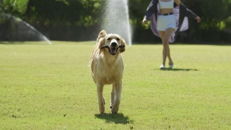 Beautiful-girl-playing-with-her-happy-golden-retriever-dog-outdoor-in-the-summer-park