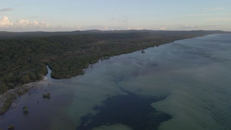 Lush-Forest-Of-Amity-Point-And-Grand-Stream-Of-Flying-Fox-Creek-In-Queensland,-North-Stradbroke-Island,-Australia