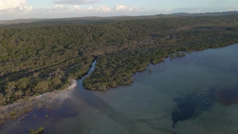 Ungestörte-Glasige-Wasseroberfläche-Von-North-Stradbroke-Island,-In-Der-Nähe-Des-Flying-Fox-Creek-Und-Des-Natürlichen-Waldgebiets-Amity-Point-In-Queensland,-Australien