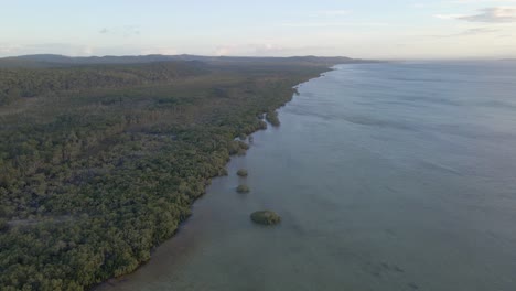 Bosque-De-Amity-Point-Y-Sorprendentes-Aguas-De-Flying-Fox-Creek-En-Queensland,-Isla-De-Stradbroke-Del-Norte,-Australia