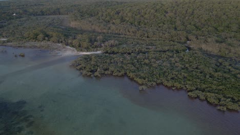 Wide-Plantation-Of-Amity-Point-And-Calm-Waters-Of-Flying-Fox-Creek-In-Queensland,-North-Stradbroke-Island,-Australia
