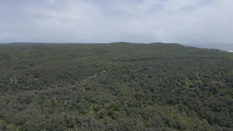 George-Nothling-Drive-área-De-Conservación-Con-Densos-Matorrales-En-El-Norte-De-La-Isla-De-Stradbroke,-Queensland,-Australia