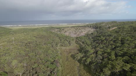 Üppige-Vegetation-Und-Meereslandschaft-Im-Hintergrund-In-North-Stradbroke-Island,-Queensland,-Australien---Drohnenaufnahme-Aus-Der-Luft
