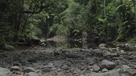 Boulders-At-The-Riverbank-Of-A-Mountain-Creek-In-Daintree-Rainforest,-North-Queensland,-Australia
