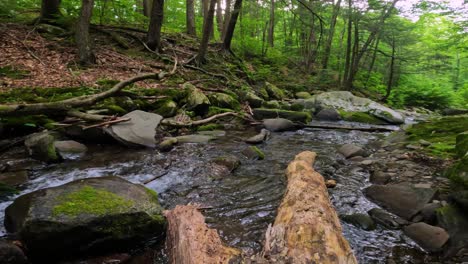 Beautiful,-woodland-stream-in-the-dense,-lush,-green-Appalachian-mounttaain-forest-during-summer