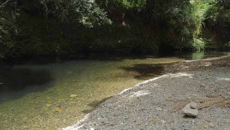 Crystal-Clear-Water-With-Stony-Riverbed-In-Daintree-Rainforest,-Cape-Tribulation,-Queensland,-Australia