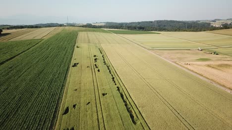 Push-in-drone:-aerial-view-of-wheat-field-in-a-large-plain-in-the-Swiss-countryside-Vaud