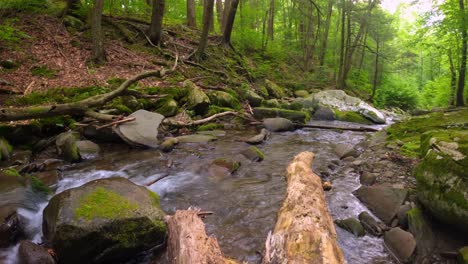Beautiful,-woodland-fishing-stream-time-lapse-in-the-dense,-lush,-green-Appalachian-mountain-forest-during-summer
