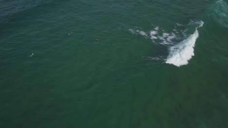 aerial-view-of-lonely-and-green-wave-in-abano-near-of-fort-of-guincho