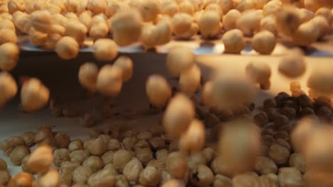 Hazelnuts-on-the-conveyor-belt-in-factory,-hazelnut-selection-and-roasting-process