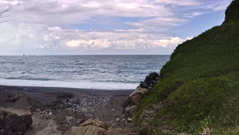 Stray-dog-in-pass-leading-to-beach-with-large-waves-on-Azores-coast