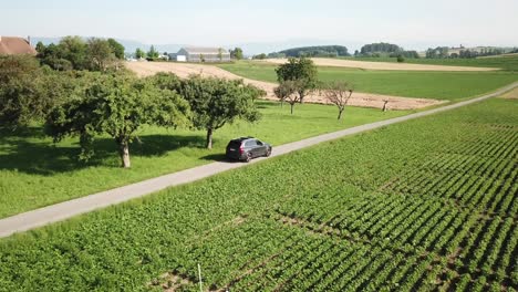 Panning-drone-view-of-a-volvo-xc-90-car-driving-on-a-small-countryside-road-near-wheat-and-vegetable-fields,-Switzerland,-Vaud