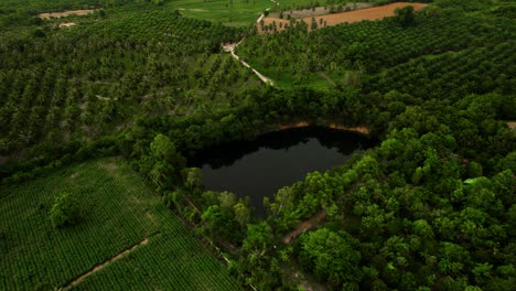 Lake-amongst-asian-green-jungle-shot-with-drone