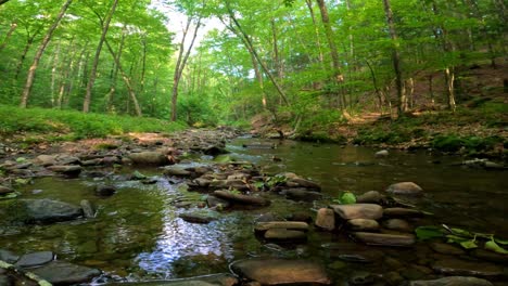 Beautiful,-woodland-stream-in-the-dense,-lush,-green-Appalachian-mountain-forest-during-summer