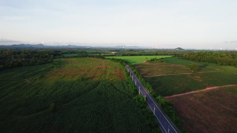 Vistas-A-Los-Campos-Verdes-En-Tailandia-Por-La-Mañana