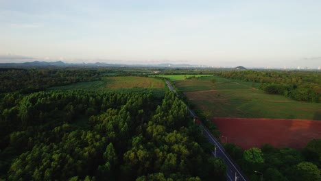 Schöne-Landschaft-Mit-Wald-Und-Einer-Auffahrt-Bei-Sonnenaufgang,-Luftaufnahme