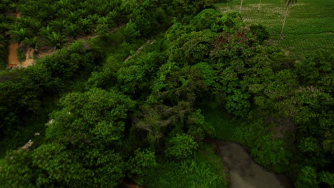Asian-rural-landscape-of-river-and-driveway-shot-with-drone