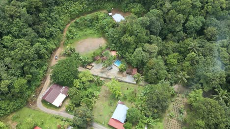 Aerial-drone-top-shot-of-a-cottage-with-a-swimming-pool-in-the-middle-of-jungle