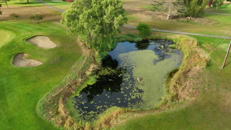 Aerial-view-of-a-decorative-pond-at-a-well-maintained-golf-course
