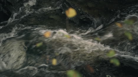 Close-up-shot-of-river-flowing-over-the-rock
