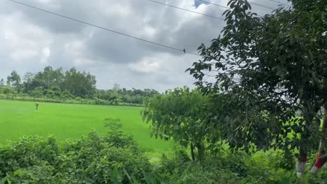 Ventana-Pov-Coche-Conduciendo-Por-Una-Carretera-En-El-Campo-De-Bangladesh