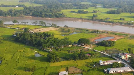 Aufsteigend-über-Reisfelder-Rund-Um-Ein-Ländliches-Dorf-In-Sylhet