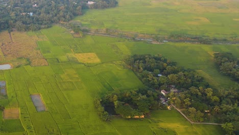 Vibrant-green-agriculture-fields-and-forests-of-Bangladesh,-aerial-view