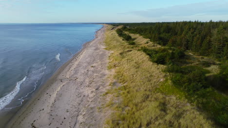 wide-aerial-of-dense-forest-and-grassy-landscape-on-sandy-Skagen-beach-in-Denmark