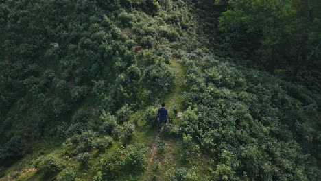 Alone-depressed-man-walking-on-hill-top-trail