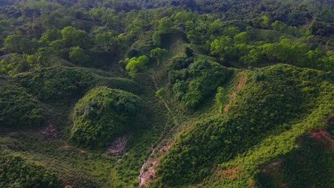 Hill-valley-aerial-view-with-forest-and-narrow-trail-in-Sylhet,-Bangladesh