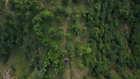 Top-down-aerial-view-of-a-traveler-man-walking-on-hill-trail