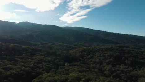Drone-aerial-flyover-California-mountains-and-forest,-Bay-Area,-green-trees-and-lens-flare