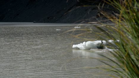 Kleine-Stücke-Von-Abgebrochenem-Gletschereis,-Das-Auf-Dem-Hooker-Lake,-Neuseeland,-Mit-Gras-Im-Vordergrund-Schwimmt