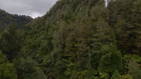 Brauner-Fluss,-Der-Sich-Zwischen-Schroffen-Klippen-Schlängelt,-Bedeckt-Von-Einem-Dichten-Regenwalddach