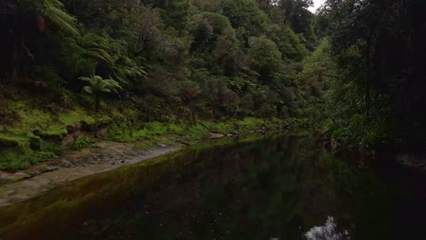 Low-and-slow-flight-along-a-brown,-tranquil-river-meandering-through-a-dense-jungle-in-New-Zealand