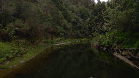 Calm-river-at-bottom-of-a-rainforest-canyon-on-a-cloudy-day-in-rural-New-Zealand
