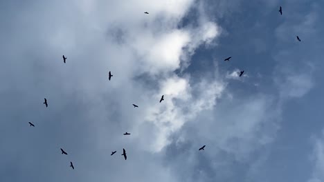 Vögel-Fliegen-Von-Grauen-Wolken-Zu-Strahlend-Blauem-Himmel,-Hoffnungsvolle-Verheißungen-Leuchten-Voraus