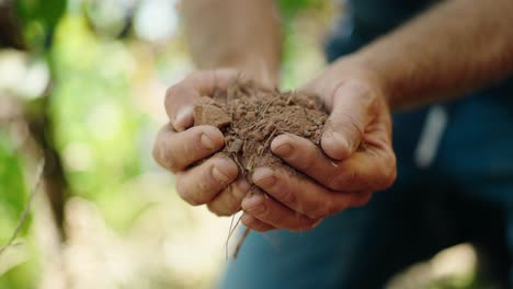 Farmer-Holding-Soil-In-Hands-Close-Up-vinyard