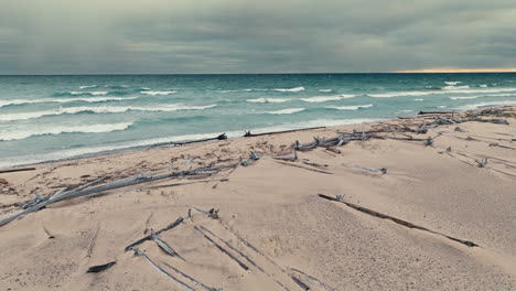 Slow-drone-shot-flying-over-driftwood-on-a-beach-of-lake-superior