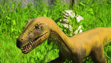 Ancient-reptile-dinosaur-realistic-model-open-his-mouth-in-vivid-grass-scary-eyes-brown-skin-sunny-slow-motion