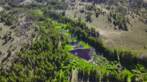 Aerial-view-of-a-large-meadow-with-a-running-river-running-through-it-in-Wyoming-during-the-summer