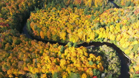 Das-Sturgeon-River-Valley-In-Voller-Herbstfärbung-Auf-Der-Oberen-Halbinsel-Von-Michigan
